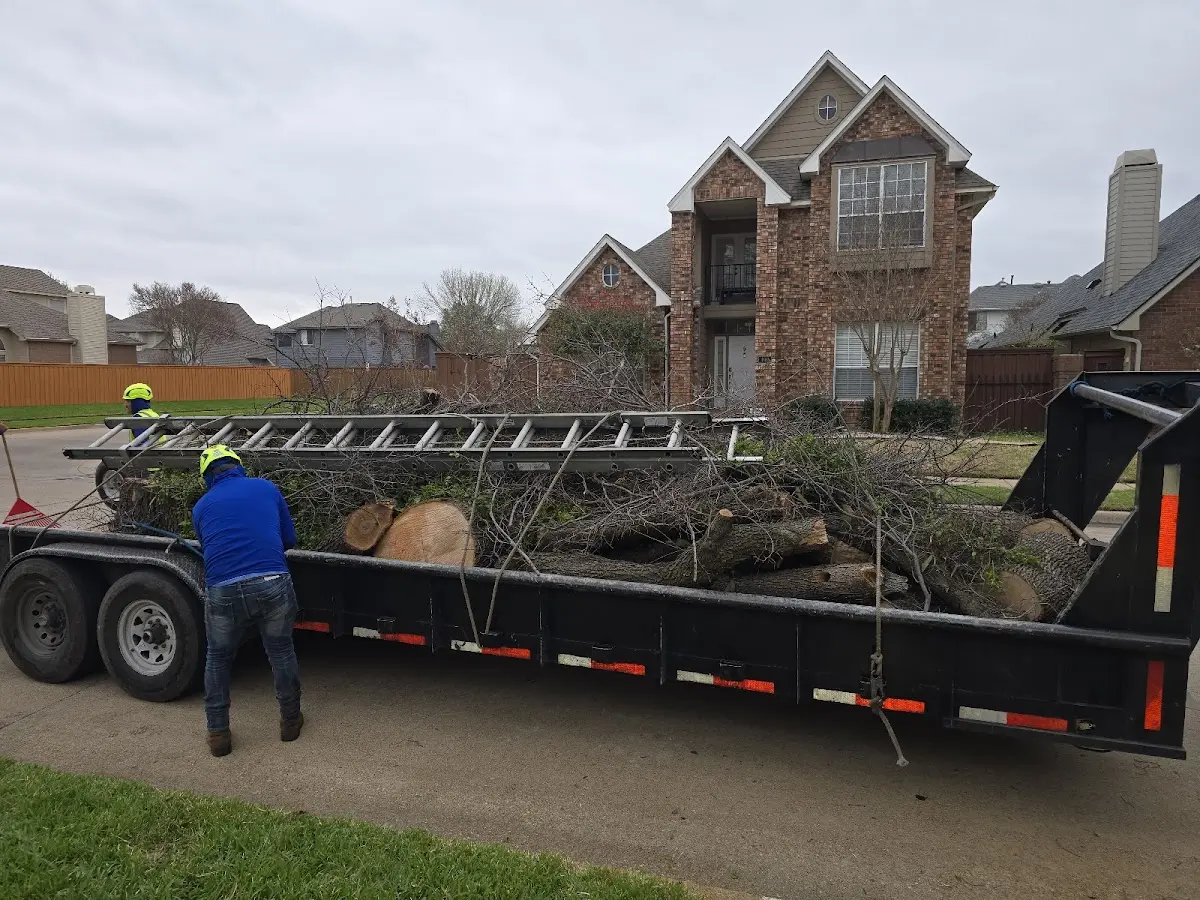 Expert Tree Removal with proper safety equipment in Lake Andes